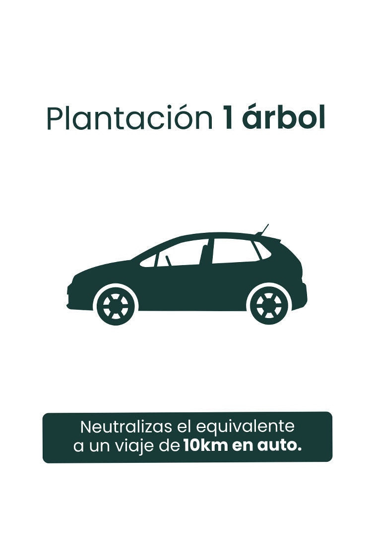 PLANTACIÓN DE 1 ÁRBOL