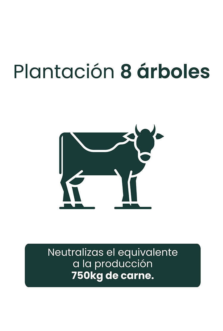 PLANTACIÓN DE 8 ÁRBOLES