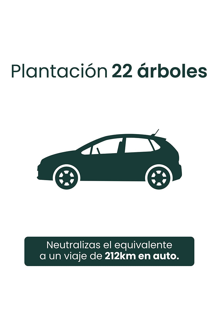 PLANTACIÓN DE 22 ÁRBOLES